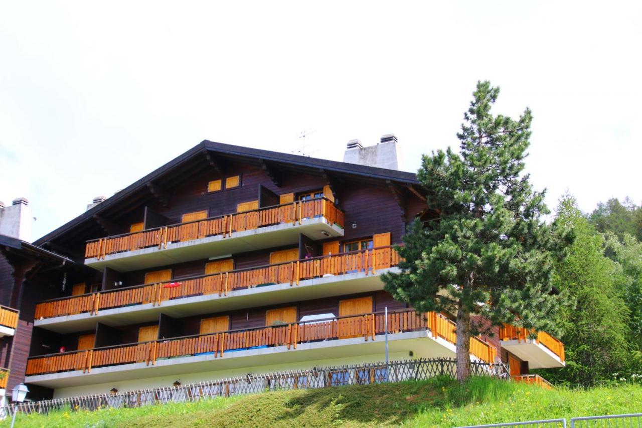 Mayens De L'Ours Mountain & Center Apartments By Alpvision Residences Agettes Eksteriør billede