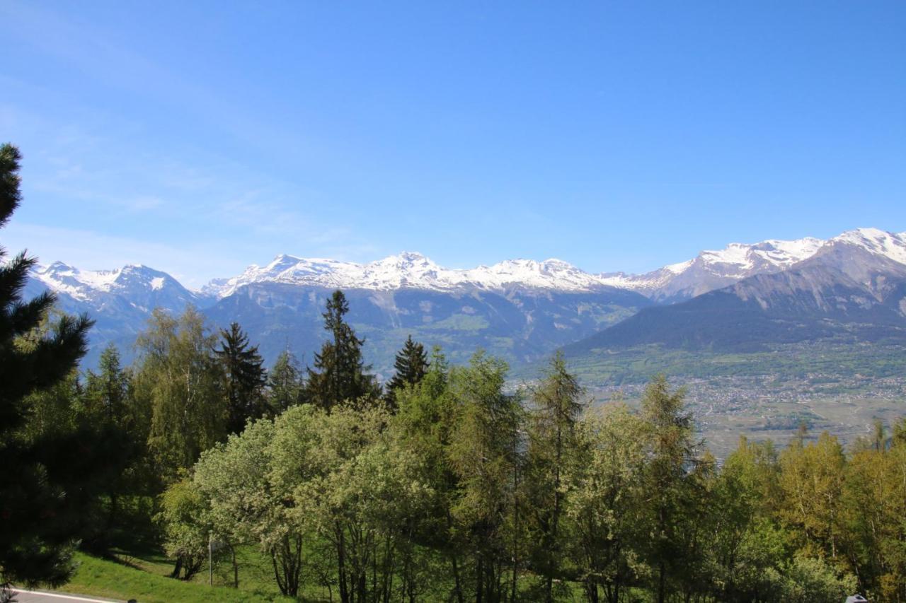 Mayens De L'Ours Mountain & Center Apartments By Alpvision Residences Agettes Eksteriør billede